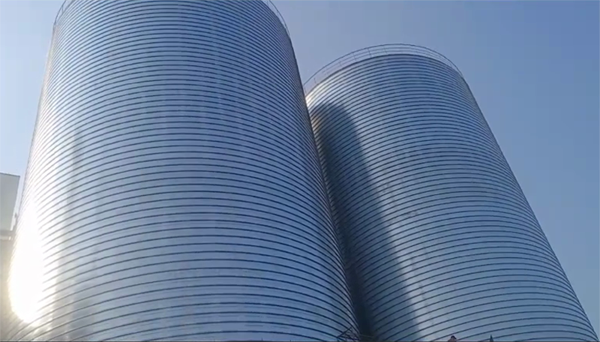 临渭2座混凝土高架卷板仓